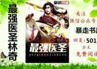最强医圣林奇全集,传奇医术，拯救苍生传奇录