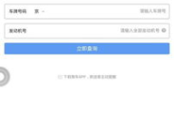 交通违章联网省份,全国交通违章联网省份现状及处理指南