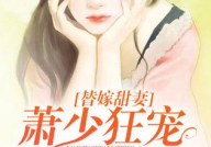 一夜盛欢厉少的替嫁宠妻免费阅读,厉少的替嫁宠妻，甜蜜逆袭