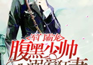 小说少帅,乱世烽烟中的铁血传奇
