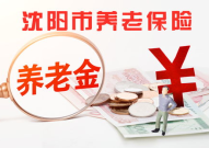 沈阳市养老保险,沈阳市养老保险政策解读与办理指南