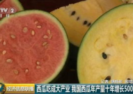 吃瓜网变成什么了,揭秘全新面貌背后的故事
